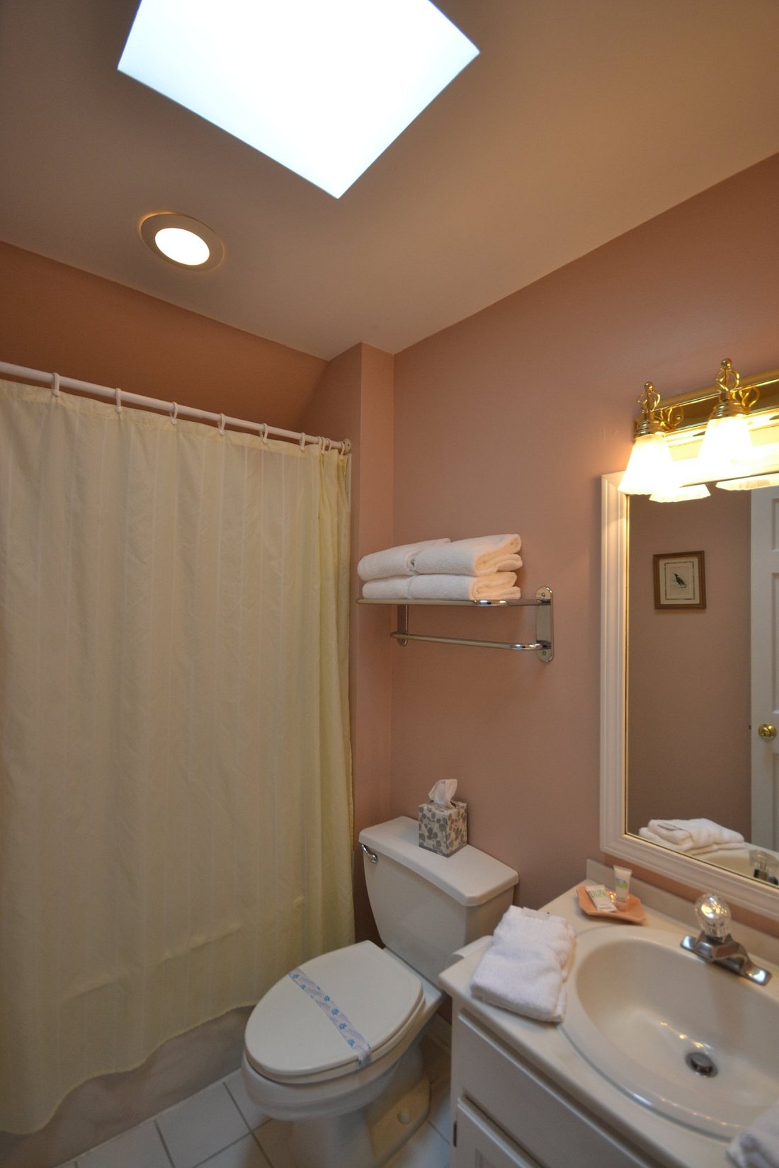 Town Queen with Fireplace 1071 skylight